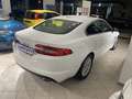 Jaguar XF XF I 2013 Berlina 2.2d Premium Luxury 200cv auto Blanc - thumbnail 5