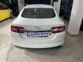 Jaguar XF XF I 2013 Berlina 2.2d Premium Luxury 200cv auto Blanc - thumbnail 4