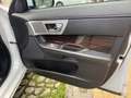 Jaguar XF XF I 2013 Berlina 2.2d Premium Luxury 200cv auto Blanc - thumbnail 14