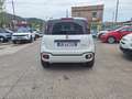 Fiat Panda 1.0 Hybrid 70Cv Cross - Vari Colori Bianco - thumbnail 13