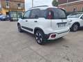 Fiat Panda 1.0 Hybrid 70Cv Cross - Vari Colori Bianco - thumbnail 3