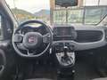 Fiat Panda 1.0 Hybrid 70Cv Cross - Vari Colori Bianco - thumbnail 5