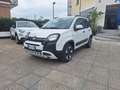 Fiat Panda 1.0 Hybrid 70Cv Cross - Vari Colori Bianco - thumbnail 14
