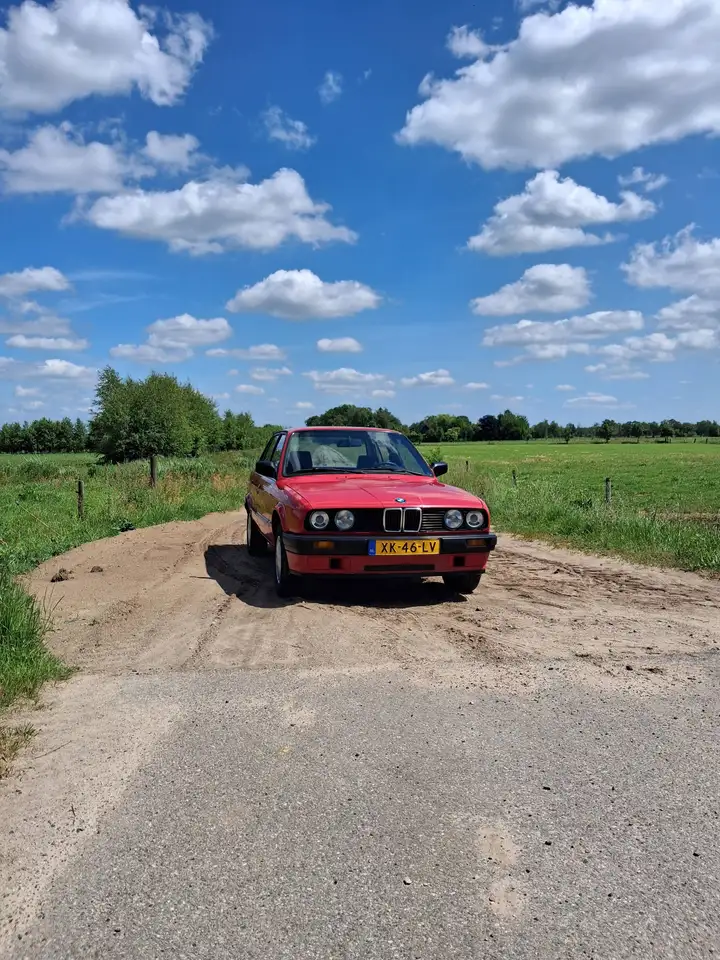 BMW 316 APK 07-2028, foto 10