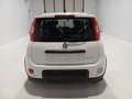 Fiat Panda 1.0 FireFly S&S Hybrid City Life Wit - thumbnail 5
