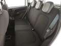 Fiat Panda 1.0 FireFly S&S Hybrid City Life Wit - thumbnail 20