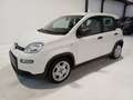Fiat Panda 1.0 FireFly S&S Hybrid City Life Wit - thumbnail 3
