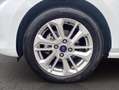 Ford Fiesta 5p 1.1 Titanium 75cv Blanc - thumbnail 14