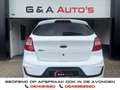 Ford Ka/Ka+ 1.2 Trend Ultimate White Sport / Airco / Cruise CT Blanc - thumbnail 6
