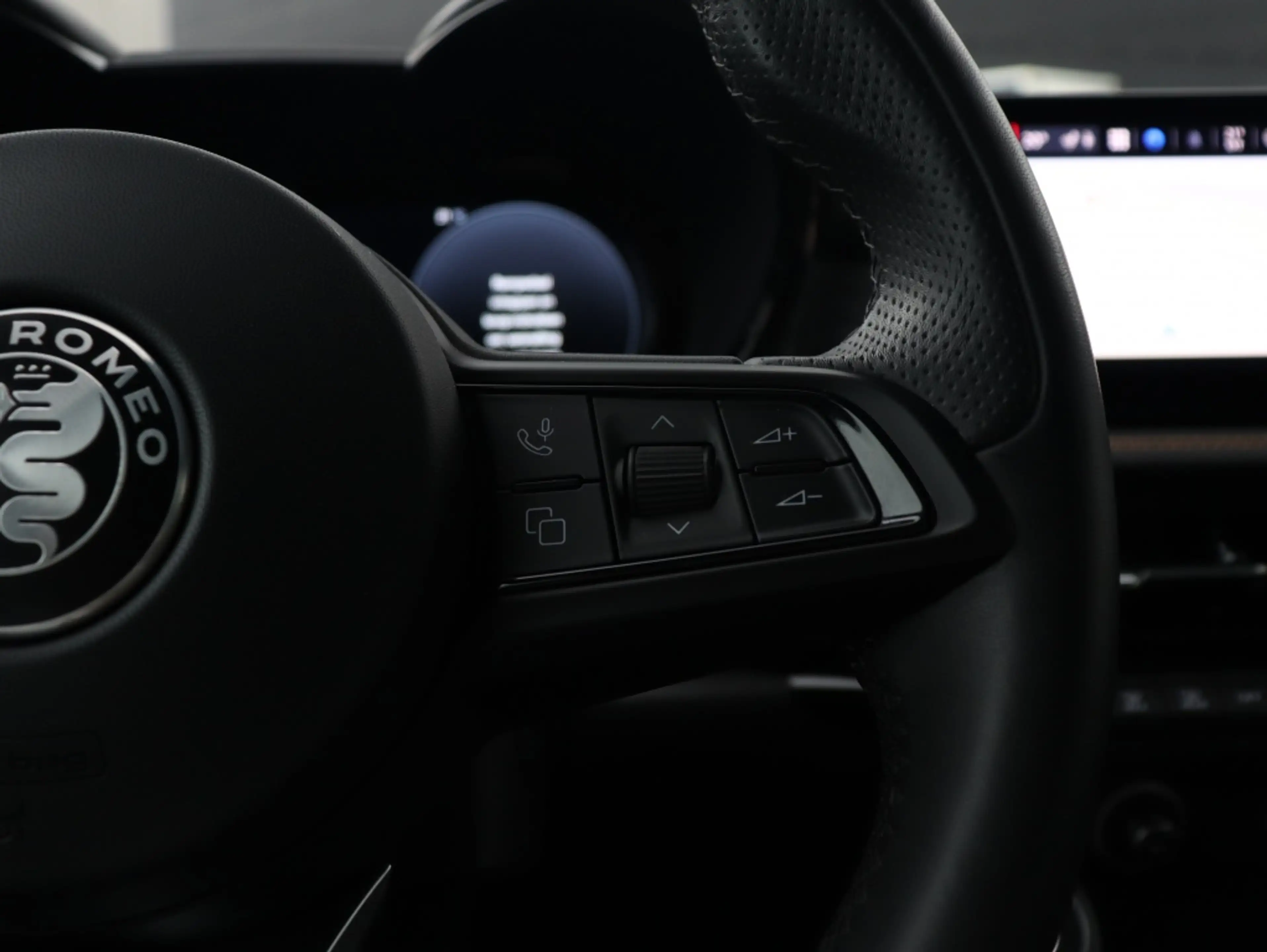 Alfa Romeo Tonale 1.3T PHEV 280 PK Edizione Speciale | Winter | Carp — photo 14