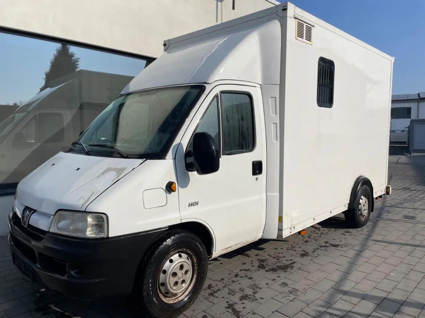 Peugeot Boxer Pferdetransporter Pferd 3,5 T HU Neu Weiß - 1