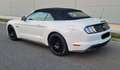 Ford Mustang GT 5.0 Ti-VCT Convertible White - thumbnail 5