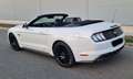 Ford Mustang GT 5.0 Ti-VCT Convertible White - thumbnail 3