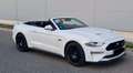Ford Mustang GT 5.0 Ti-VCT Convertible White - thumbnail 1