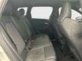 Audi Q6 Q6 e-tron 55 quattro*S line*Matrix*Pano*B&O*Navi Weiß - thumbnail 16