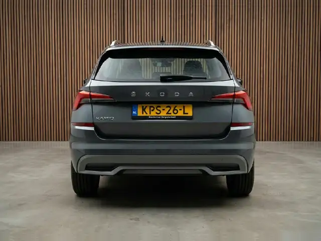 Skoda Kamiq view 8