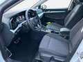Volkswagen Golf VIII 1.0 eTSI DSG MOVE ACC AHK LED NAV Blanco - thumbnail 13