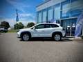 Suzuki S-Cross 1,4 DITC Hybrid clear - LED / ACC / RÜCKFAHRKAMERA Weiß - thumbnail 3
