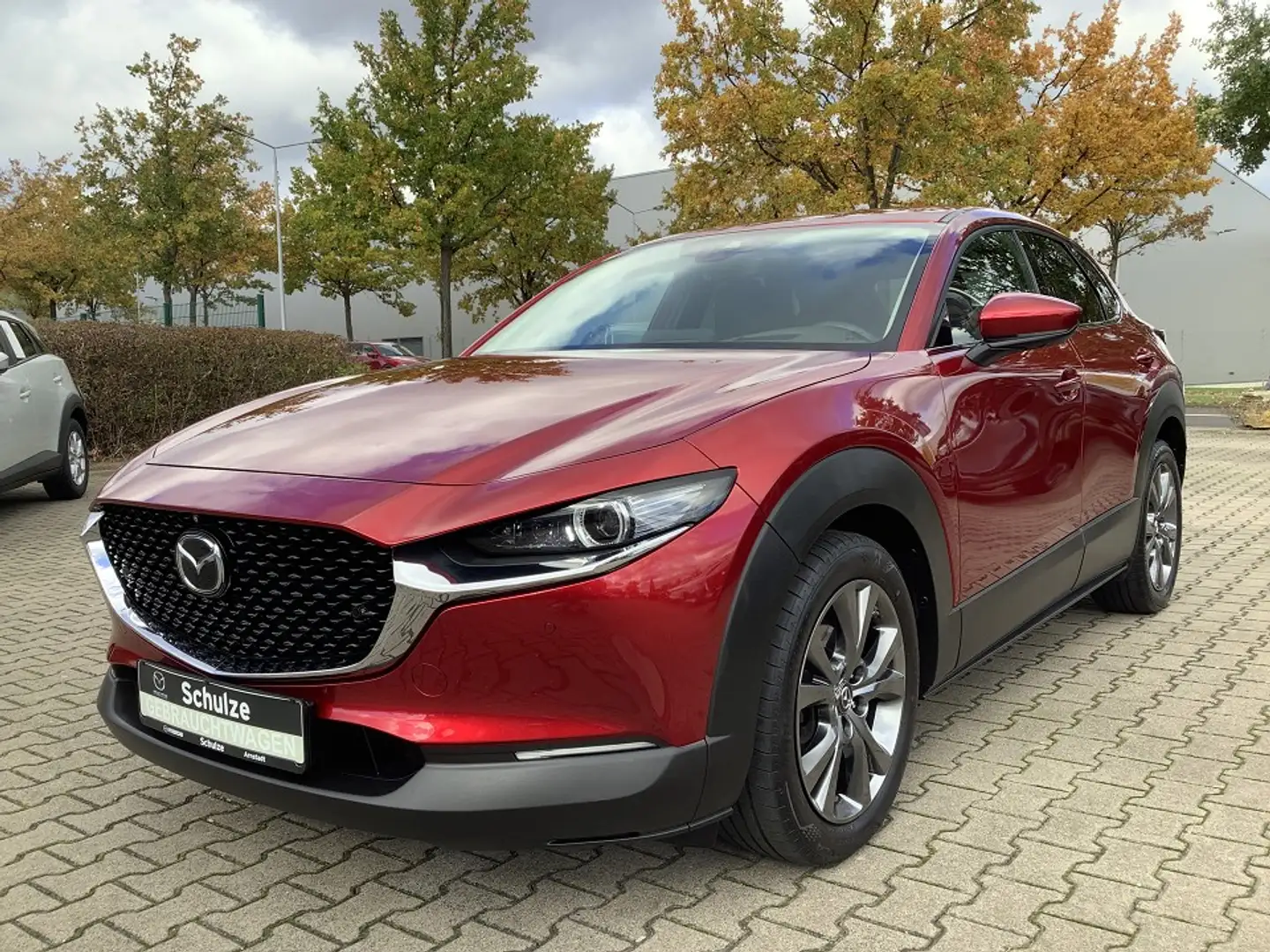 Mazda CX-30 2.0 X Selection Leder Design-/Premium-Paket Rot - 2