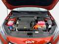 Kia XCeed 1.6 Spirit Navi ACC FLA SpurH LM KlimaA Orange - thumbnail 14