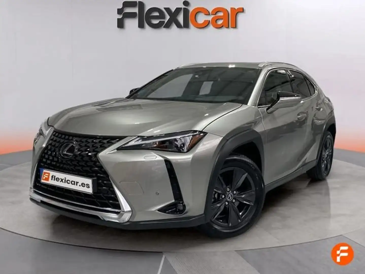 Lexus UX 250h 2.0+250h+Premium Gris - 2