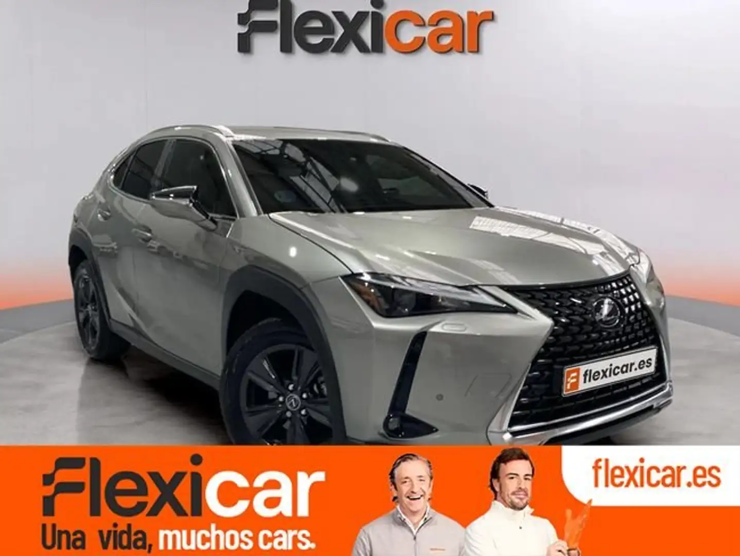 Lexus UX 250h 2.0+250h+Premium Gris - 1