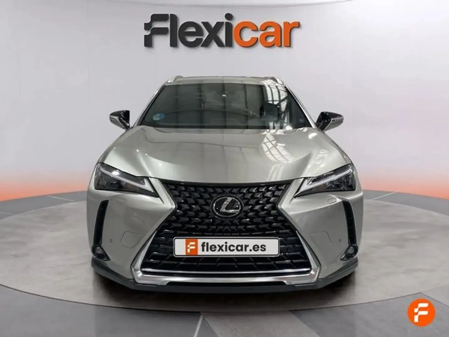 Lexus UX 250h 2.0+250h+Premium Gris - 1