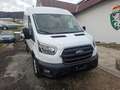Ford Transit Bus Minibus 2,0 EcoBlue HD L3H2 410 Trend Aut. - thumbnail 4