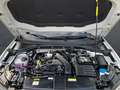 Volkswagen T-Roc 1.5 TSI DSG Goal+AHK+NAVI+WR+LED+PDC+SHZ+ACC Blanco - thumbnail 22