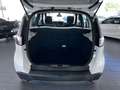Renault Scenic 1.2 TCe Limited |NAVI SITZHEIZUNG| Weiß - thumbnail 12