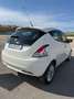 Lancia Ypsilon 1.3 mjt Platinum s&s 95cv Bianco - thumbnail 5
