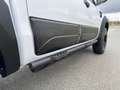 Ford Ranger Ranger Wildtrak 4x4 2,0 Aut. "URSUS Edition" TO... Weiß - thumbnail 19