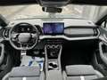 Skoda Kodiaq TDI DSG 4x4 Sportline Matrix+Navi+7Si+AHK Grau - thumbnail 16