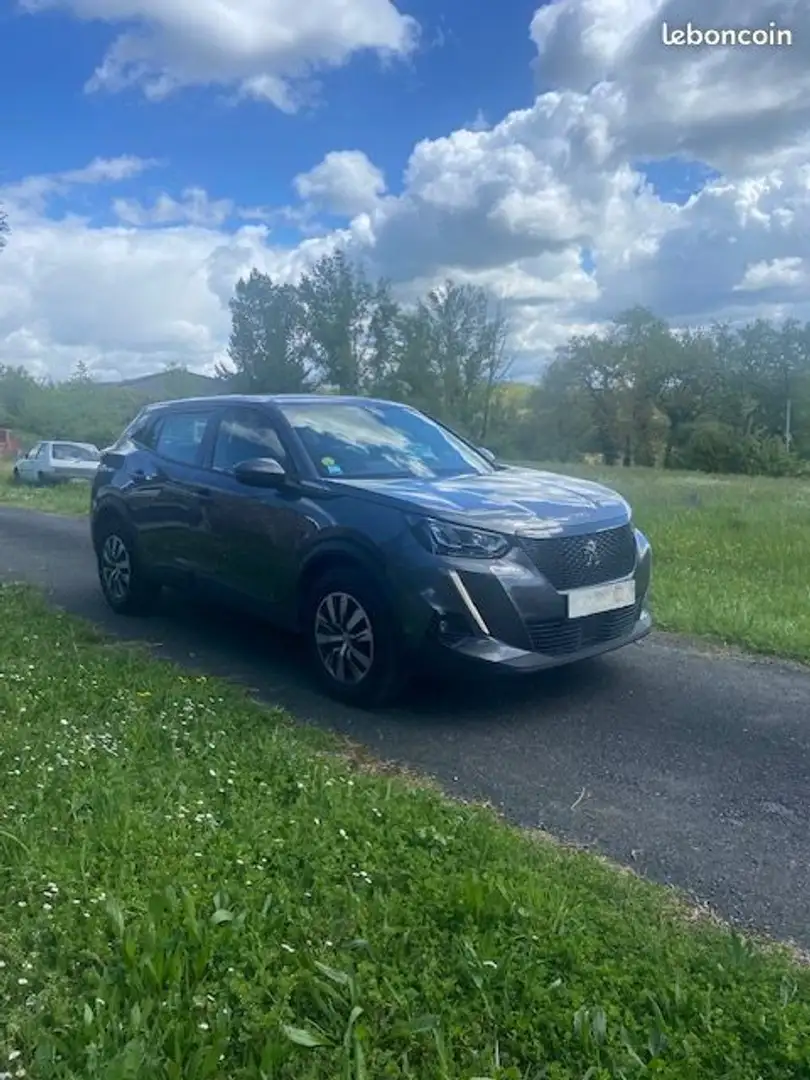 Peugeot 2008 Suv active business blue hdi 110 bvm6 Gris - 2