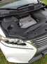 Lexus RX 450h (hybrid) Luxury Line Weiß - thumbnail 13