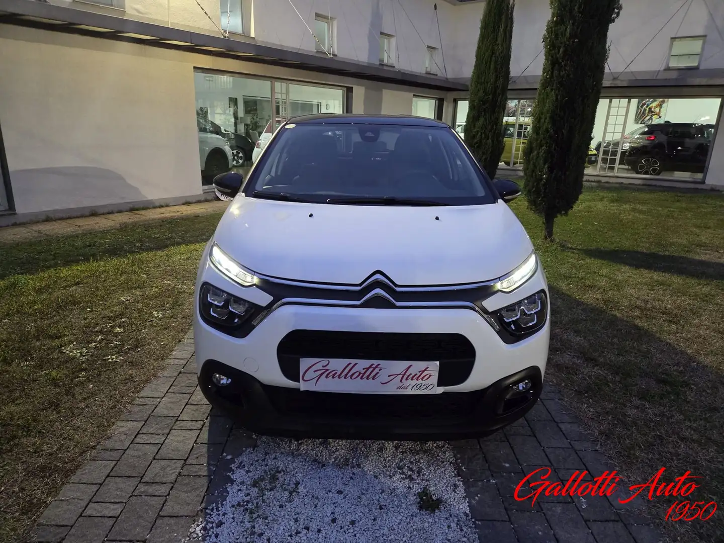 Citroen C3 C3 PureTech 83 S&S Shine Bianco - 2