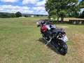 Triumph Tiger 1200 Tiger 1200 GT Explorer - thumbnail 4
