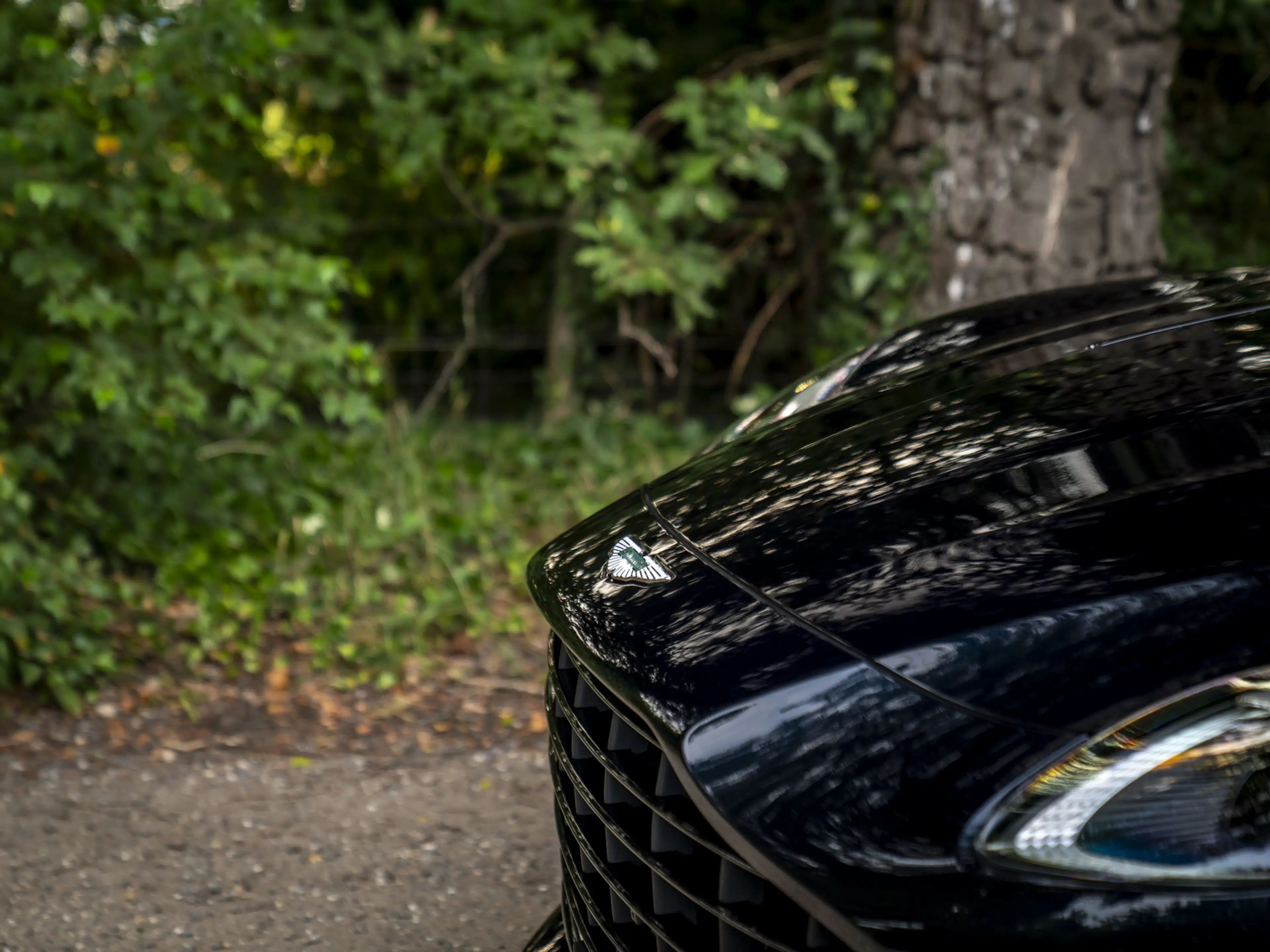 Aston Martin DB12 Volante 4.0 V8 | Bowers & Wilkins — photo 24
