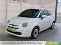 Fiat 500 HYBRID CULT Weiß - thumbnail 1
