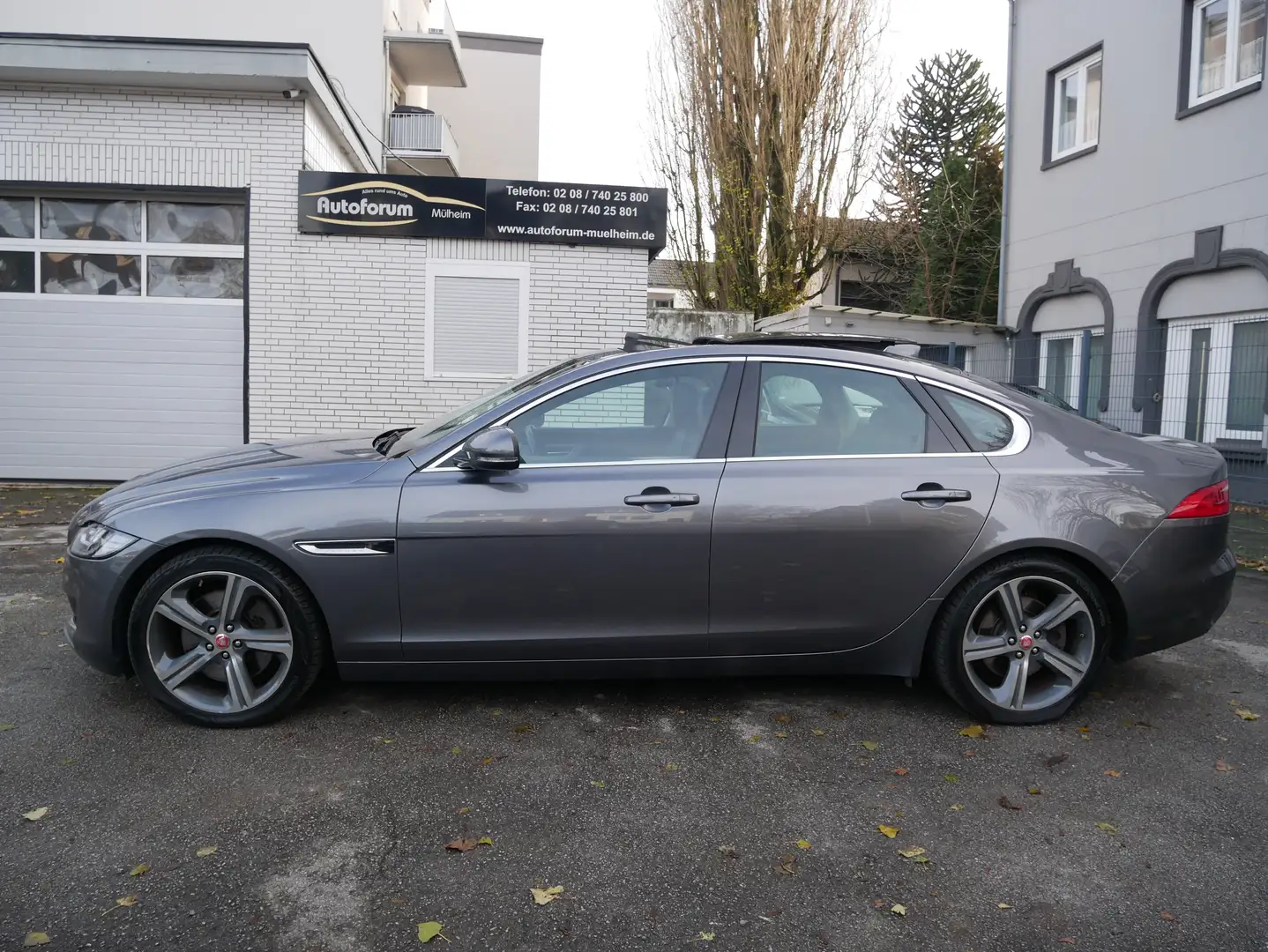Jaguar XF 30D Portfolio LED Pano Meridian KeyGo Spur DAB Kam Gris - 2