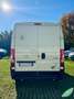 Peugeot Boxer PEUGEOT BOXER 330 2.2 BLUEHDI 140 S&S PM-TM Bianco - thumbnail 5