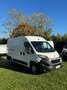 Peugeot Boxer PEUGEOT BOXER 330 2.2 BLUEHDI 140 S&S PM-TM Bianco - thumbnail 1