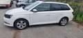 Skoda Fabia Combi Active 1,4 TDI - thumbnail 1