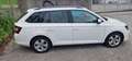Skoda Fabia Combi Active 1,4 TDI - thumbnail 7