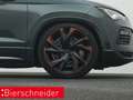 CUPRA Ateca 2.0 TSI DSG 4Dr. VZ Tribe Edition AKRA EASY-OPEN A Grün - thumbnail 29
