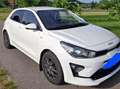 Kia Rio Rio 1,25 MPI Neon ISG Neon Weiß - thumbnail 4