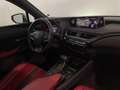 Lexus UX 250h F-Sport 4wd cvt Wit - thumbnail 8