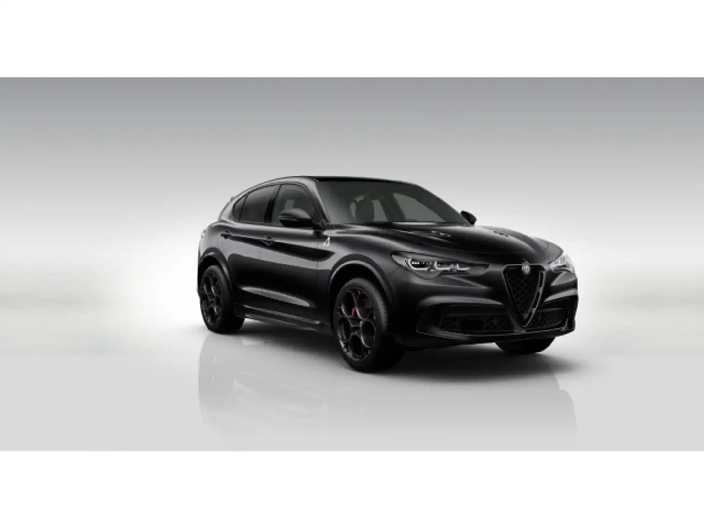 Alfa Romeo Stelvio 2.9 V6 Quadrifoglio+Akrapovic+LED+PANO+21Zoll+ Schwarz - 1