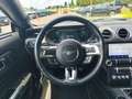 Ford Mustang GT fastback V8 5.0L MAGNERIDE Grau - thumbnail 9