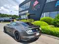 Ford Mustang GT fastback V8 5.0L MAGNERIDE Grau - thumbnail 3
